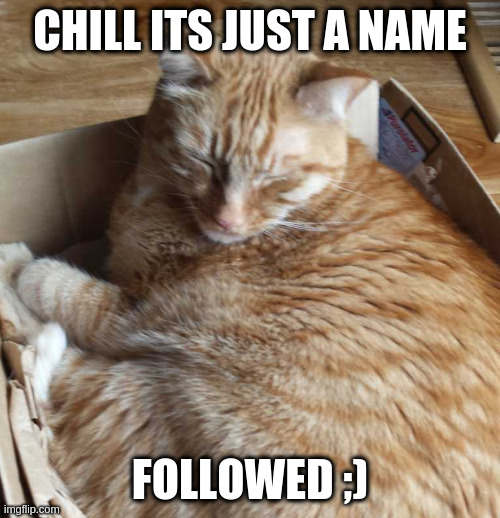 sleeping r***** | CHILL ITS JUST A NAME FOLLOWED ;) | image tagged in sleeping r | made w/ Imgflip meme maker