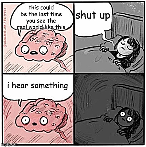 Brain Before Sleep | shut up; this could be the last time you see the real world like this; i hear something | image tagged in brain before sleep | made w/ Imgflip meme maker