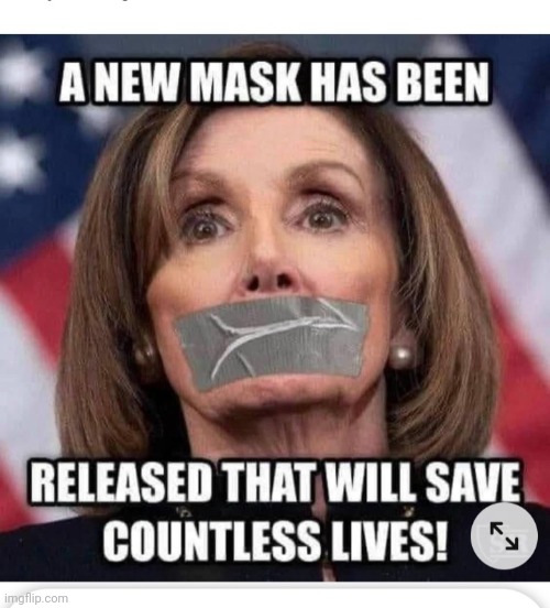 One mask mandate I can get behind | image tagged in democrat party,dumbasses | made w/ Imgflip meme maker