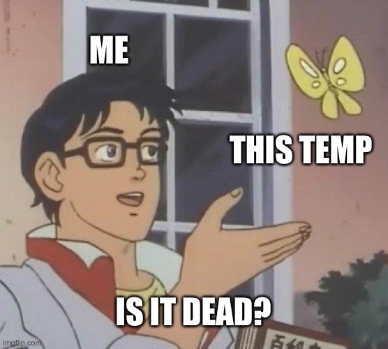 i have officially ran out of ideas | ME; THIS TEMP; IS IT DEAD? | image tagged in memes,is this a pigeon | made w/ Imgflip meme maker