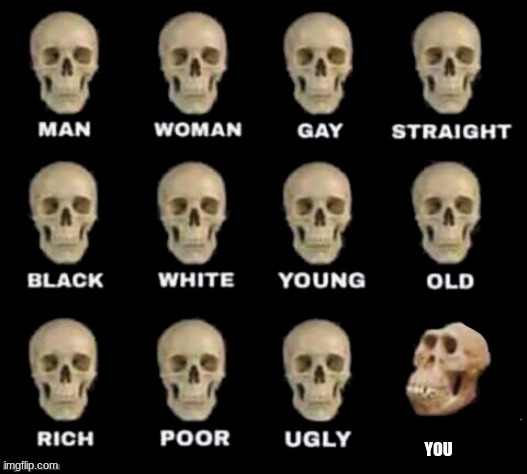 idiot skull | YOU | image tagged in idiot skull | made w/ Imgflip meme maker