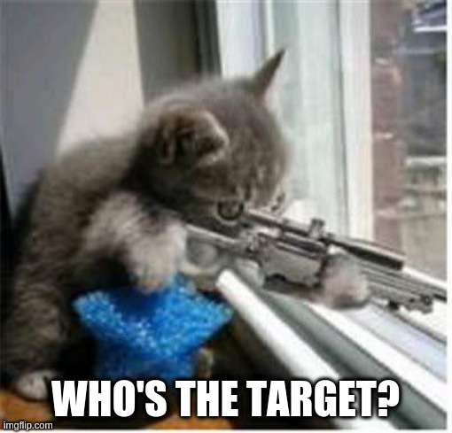 cats with guns | WHO'S THE TARGET? | image tagged in cats with guns | made w/ Imgflip meme maker