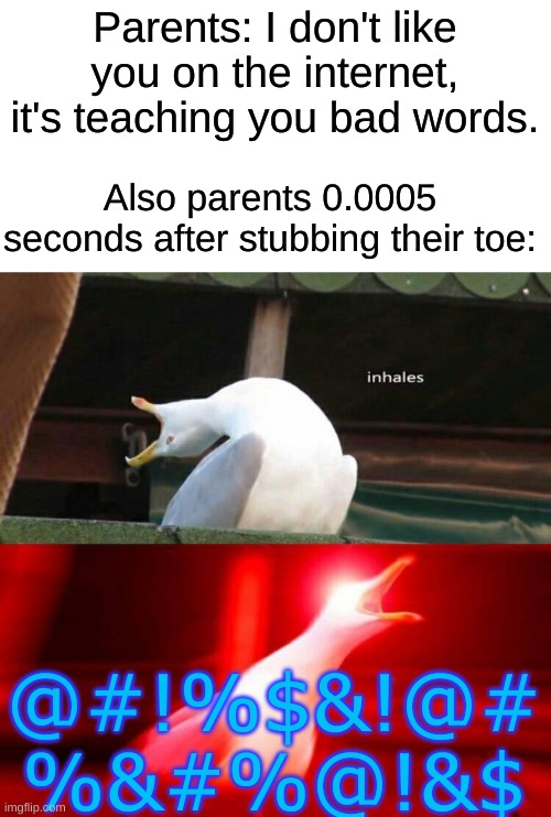 I can't think of a title | Parents: I don't like you on the internet, it's teaching you bad words. Also parents 0.0005 seconds after stubbing their toe:; @#!%$&!@# %&#%@!&$ | image tagged in inhaling seagull,parents,swearing,relatable,stubbing toe,stop reading the tags | made w/ Imgflip meme maker
