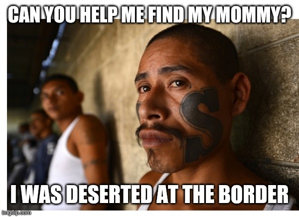 CAN YOU HELP ME FIND MY MOMMY? I WAS DESERTED AT THE BORDER | made w/ Imgflip meme maker