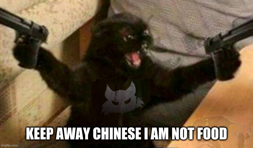 Cat With Guns | KEEP AWAY CHINESE I AM NOT FOOD | image tagged in cat with guns | made w/ Imgflip meme maker
