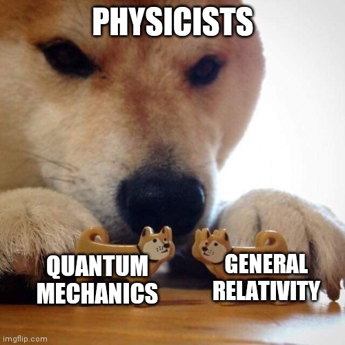 Relationships in physics are complicated | PHYSICISTS; QUANTUM MECHANICS; GENERAL RELATIVITY | image tagged in now kiss doge | made w/ Imgflip meme maker