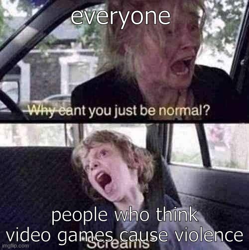 Why Can't You Just Be Normal | everyone; people who think video games cause violence | image tagged in why can't you just be normal | made w/ Imgflip meme maker