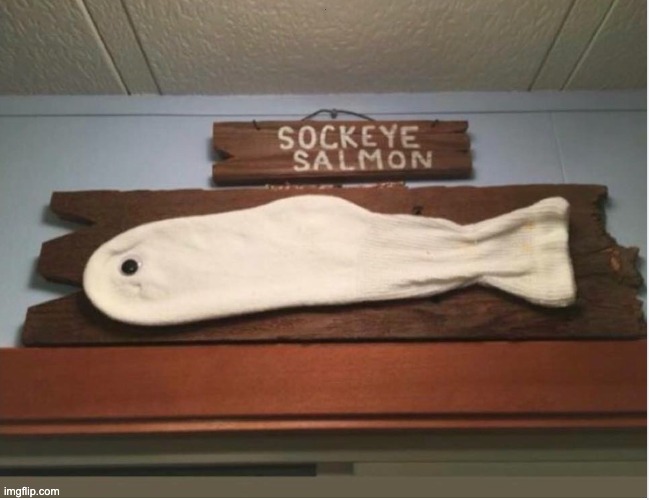 Sockeye | . | made w/ Imgflip meme maker