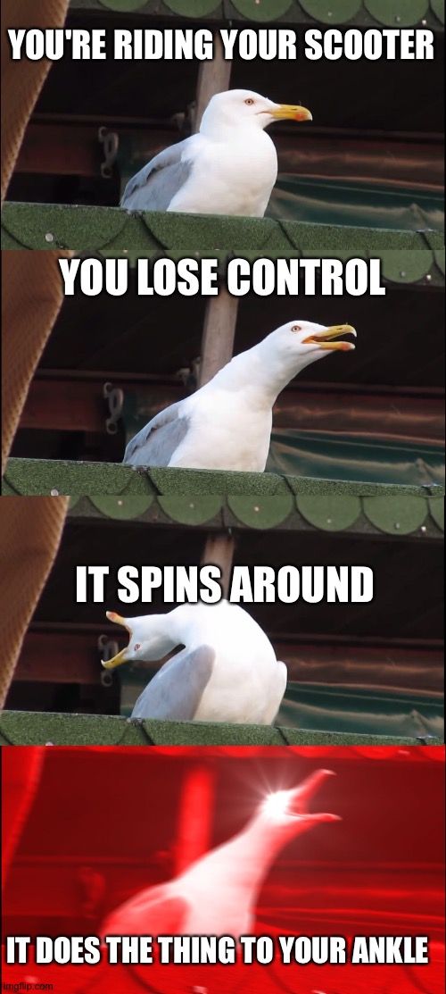 Comment if you know | YOU'RE RIDING YOUR SCOOTER; YOU LOSE CONTROL; IT SPINS AROUND; IT DOES THE THING TO YOUR ANKLE | image tagged in memes,inhaling seagull | made w/ Imgflip meme maker