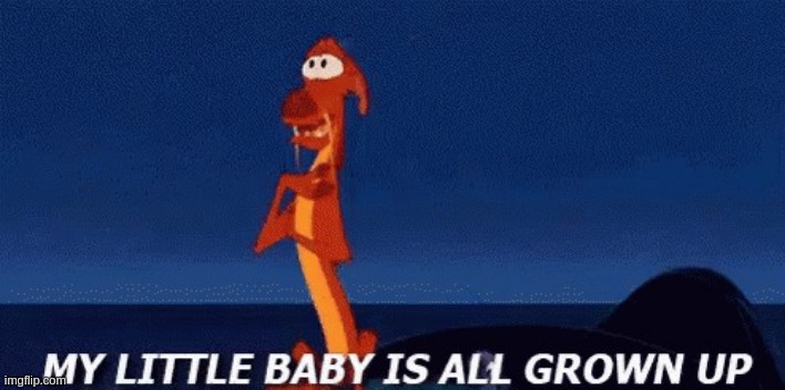 new temp | image tagged in my little baby is all grown up | made w/ Imgflip meme maker