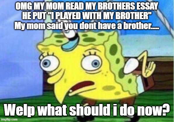 :c | OMG MY MOM READ MY BROTHERS ESSAY HE PUT "I PLAYED WITH MY BROTHER" My mom said you dont have a brother..... Welp what should i do now? | image tagged in memes,mocking spongebob | made w/ Imgflip meme maker