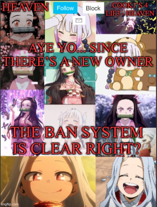 It has to be right?! | AYE YO... SINCE THERE’S A NEW OWNER; THE BAN SYSTEM IS CLEAR RIGHT? | image tagged in heavens temp adorable | made w/ Imgflip meme maker