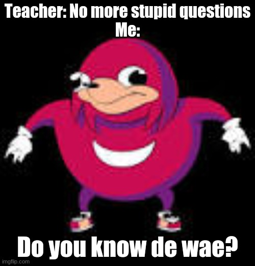 do you know de wae | Teacher: No more stupid questions
Me:; Do you know de wae? | image tagged in do you know de wae | made w/ Imgflip meme maker