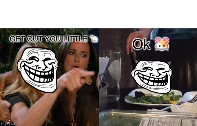 Woman Yelling At Cat Meme | GET OUT YOU LITTLE ? Ok ? | image tagged in memes,woman yelling at cat | made w/ Imgflip meme maker
