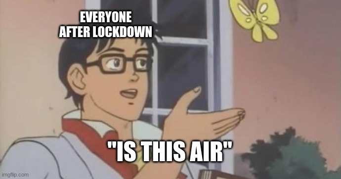 Is This a Pigeon | EVERYONE AFTER LOCKDOWN; "IS THIS AIR" | image tagged in is this a pigeon | made w/ Imgflip meme maker