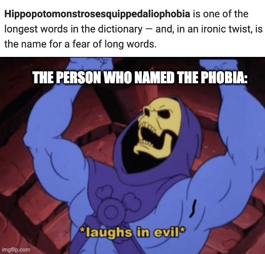 THE PERSON WHO NAMED THE PHOBIA: | image tagged in memes,memes | made w/ Imgflip meme maker