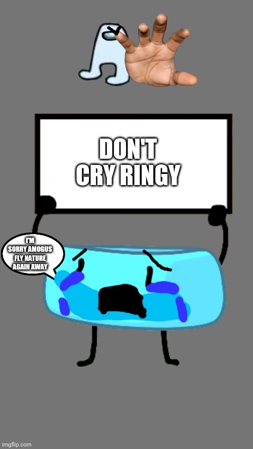 Braceletey Scares AMOGUS | DON'T CRY RINGY; I'M SORRY AMOGUS FLY NATURE AGAIN AWAY | image tagged in braceletey bfb | made w/ Imgflip meme maker