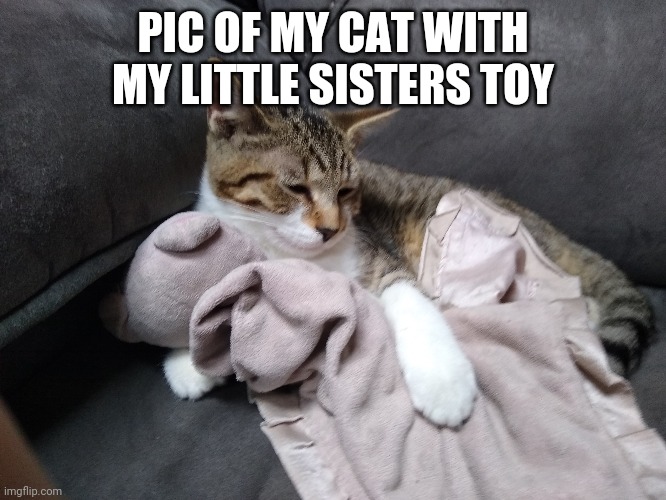 PIC OF MY CAT WITH MY LITTLE SISTERS TOY | made w/ Imgflip meme maker