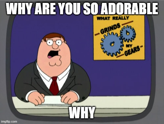Peter Griffin News Meme | WHY ARE YOU SO ADORABLE WHY | image tagged in memes,peter griffin news | made w/ Imgflip meme maker
