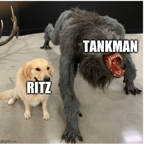 dog wolf | TANKMAN; RITZ | image tagged in dog wolf | made w/ Imgflip meme maker