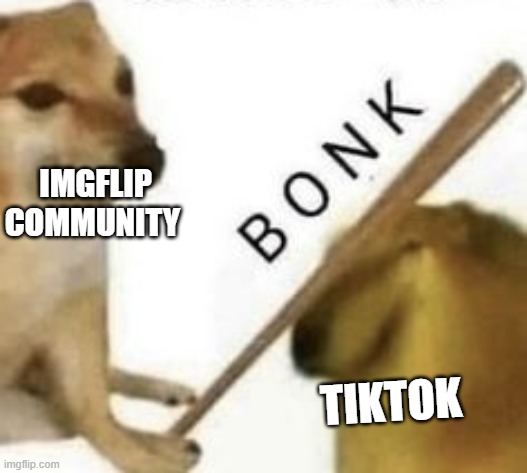 Give it the hardest bonk u got |  IMGFLIP COMMUNITY; TIKTOK | image tagged in bonk,tiktok | made w/ Imgflip meme maker