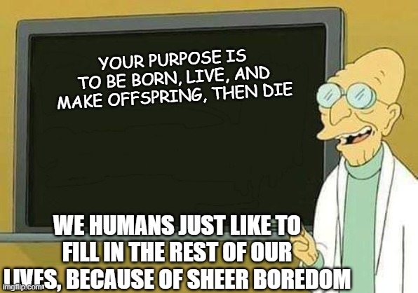 its true | YOUR PURPOSE IS TO BE BORN, LIVE, AND MAKE OFFSPRING, THEN DIE; WE HUMANS JUST LIKE TO FILL IN THE REST OF OUR LIVES, BECAUSE OF SHEER BOREDOM | image tagged in professor farnsworth presentation | made w/ Imgflip meme maker