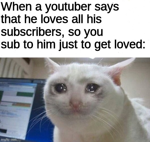 im sorry | When a youtuber says that he loves all his subscribers, so you sub to him just to get loved: | image tagged in crying cat | made w/ Imgflip meme maker