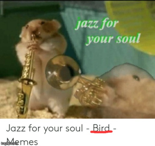 Oh yes that is a bird | made w/ Imgflip meme maker