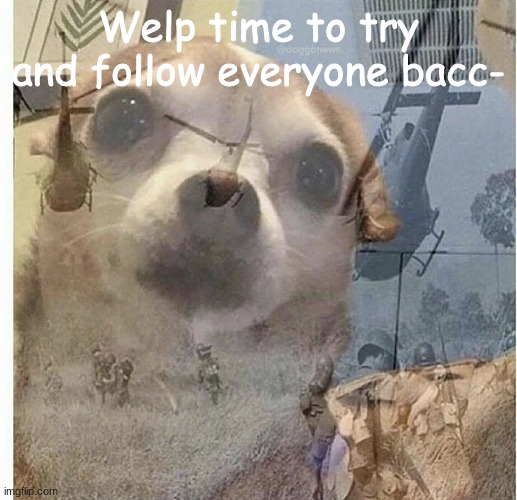 Oh dear gosh- | Welp time to try and follow everyone bacc- | image tagged in ptsd chihuahua | made w/ Imgflip meme maker