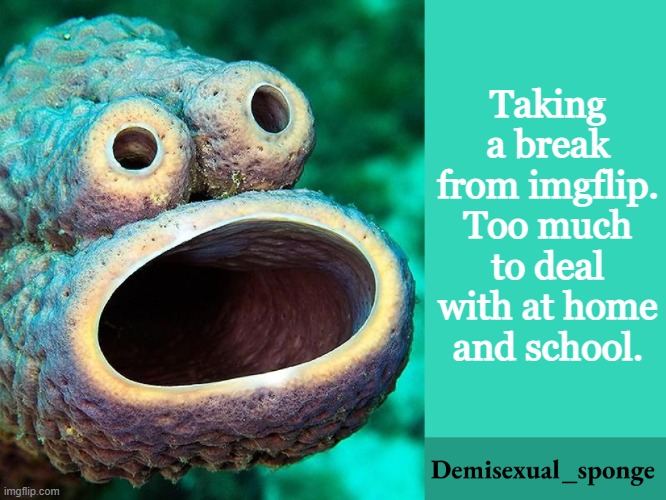 Au revoir mes amis | Taking a break from imgflip. Too much to deal with at home and school. | image tagged in demisexual_sponge | made w/ Imgflip meme maker