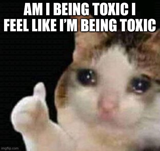 :( | AM I BEING TOXIC I FEEL LIKE I’M BEING TOXIC | image tagged in sad thumbs up cat | made w/ Imgflip meme maker