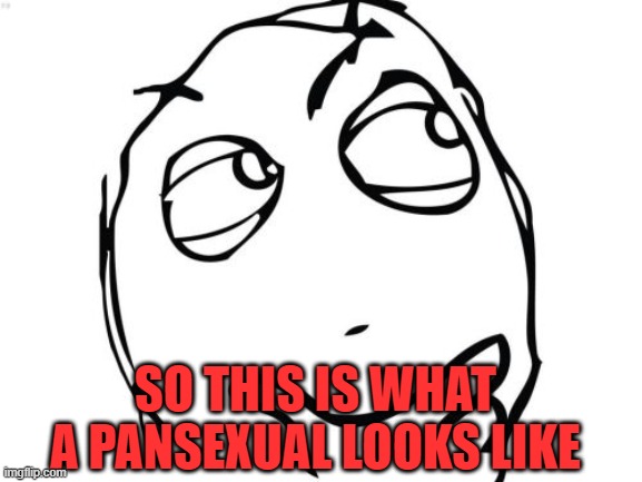 Question Rage Face Meme | SO THIS IS WHAT A PANSEXUAL LOOKS LIKE | image tagged in memes,question rage face | made w/ Imgflip meme maker