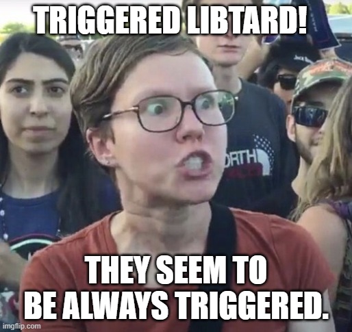 Triggered feminist | TRIGGERED LIBTARD! THEY SEEM TO BE ALWAYS TRIGGERED. | image tagged in triggered feminist | made w/ Imgflip meme maker