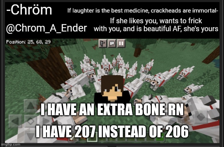 I have the doot virus so i like doots | I HAVE 207 INSTEAD OF 206; I HAVE AN EXTRA BONE RN | image tagged in chrom_a_ender announcement template | made w/ Imgflip meme maker