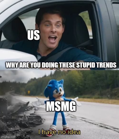 Sonic I have no idea | US; WHY ARE YOU DOING THESE STUPID TRENDS; MSMG | image tagged in sonic i have no idea | made w/ Imgflip meme maker