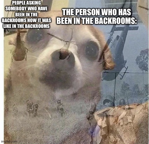 PTSD Chihuahua | PEOPLE ASKING SOMEBODY WHO HAVE BEEN IN THE BACKROOMS HOW IT WAS LIKE IN THE BACKROOMS; THE PERSON WHO HAS BEEN IN THE BACKROOMS: | image tagged in ptsd chihuahua | made w/ Imgflip meme maker