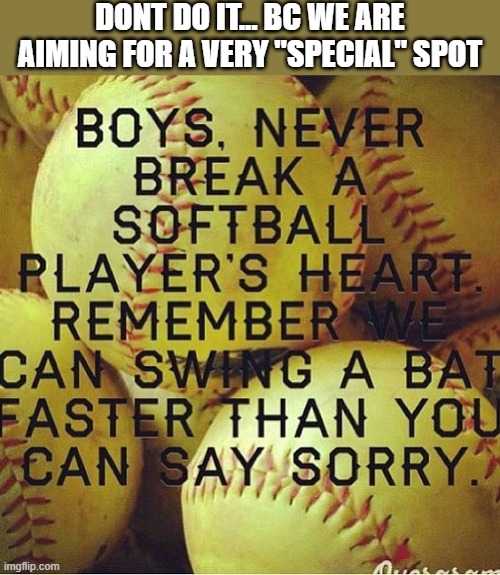 we WILL be aiming for a VERY painful spot... | DONT DO IT... BC WE ARE AIMING FOR A VERY "SPECIAL" SPOT | image tagged in pain,no heartbrakes,fast swings,very painful,bat on ball,dont even try | made w/ Imgflip meme maker