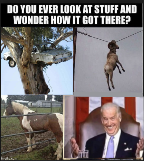 Things That Make You Go Hmmm... | image tagged in biden,sleepy joe,not my president | made w/ Imgflip meme maker