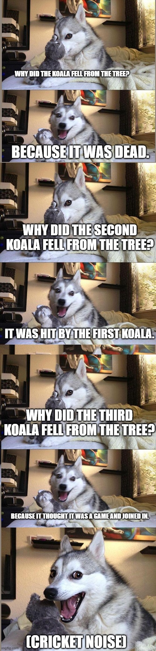 Bad Pun Dog | WHY DID THE KOALA FELL FROM THE TREE? BECAUSE IT WAS DEAD. WHY DID THE SECOND KOALA FELL FROM THE TREE? IT WAS HIT BY THE FIRST KOALA. WHY DID THE THIRD KOALA FELL FROM THE TREE? BECAUSE IT THOUGHT IT WAS A GAME AND JOINED IN. (CRICKET NOISE) | image tagged in memes,bad pun dog,but not that bad,funny | made w/ Imgflip meme maker