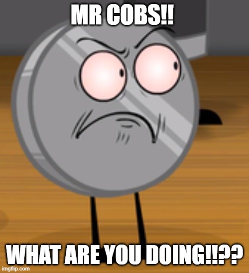 MR COBBS!!! | MR COBS!! WHAT ARE YOU DOING!!?? | image tagged in angry nickel | made w/ Imgflip meme maker