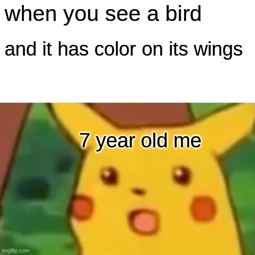 Surprised Pikachu | when you see a bird; and it has color on its wings; 7 year old me | image tagged in memes,surprised pikachu | made w/ Imgflip meme maker