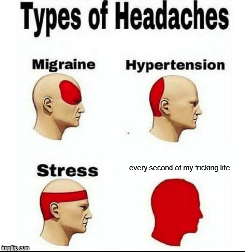 its a hard knock life | every second of my fricking life | image tagged in types of headaches meme | made w/ Imgflip meme maker