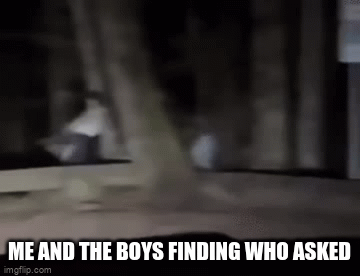 funi | ME AND THE BOYS FINDING WHO ASKED | image tagged in gifs,me and the boys finding who asked | made w/ Imgflip video-to-gif maker