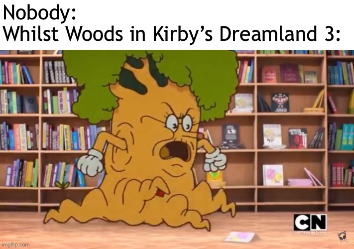 Nobody:
Whilst Woods in Kirby’s Dreamland 3: | made w/ Imgflip meme maker