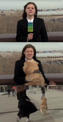 High Quality Dog steals mic Blank Meme Template