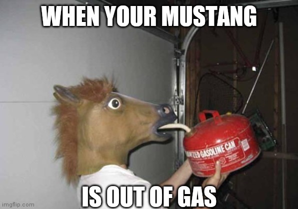 BETTER FUEL UP | WHEN YOUR MUSTANG; IS OUT OF GAS | image tagged in gas,mustang,horse,horse face | made w/ Imgflip meme maker