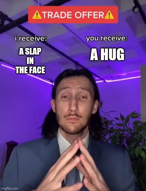 Trade Offer | A HUG; A SLAP IN THE FACE | image tagged in trade offer | made w/ Imgflip meme maker