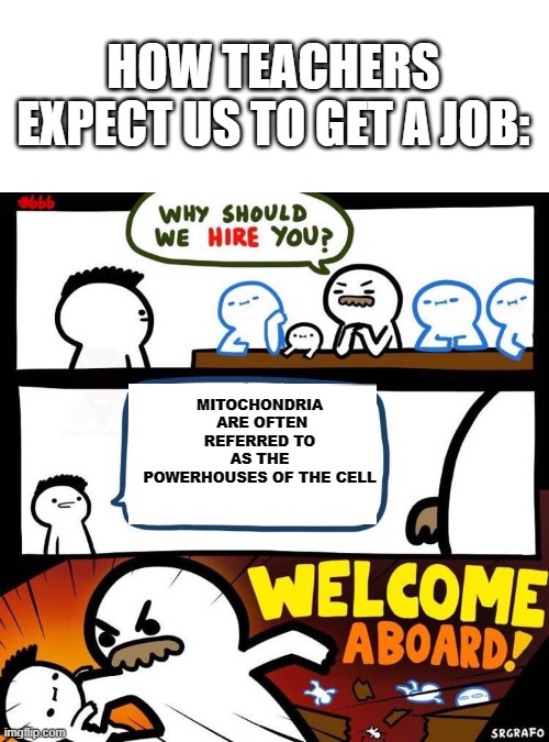 how teachers expect us to get a job | HOW TEACHERS EXPECT US TO GET A JOB:; MITOCHONDRIA  ARE OFTEN REFERRED TO AS THE POWERHOUSES OF THE CELL | image tagged in welcome aboard,job,school,memes | made w/ Imgflip meme maker