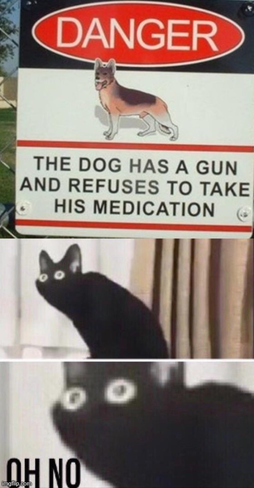 image tagged in oh no cat | made w/ Imgflip meme maker