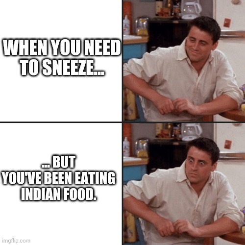 Friends | WHEN YOU NEED TO SNEEZE... ... BUT YOU'VE BEEN EATING INDIAN FOOD. | image tagged in friends,dining,indian,bathroom humor | made w/ Imgflip meme maker